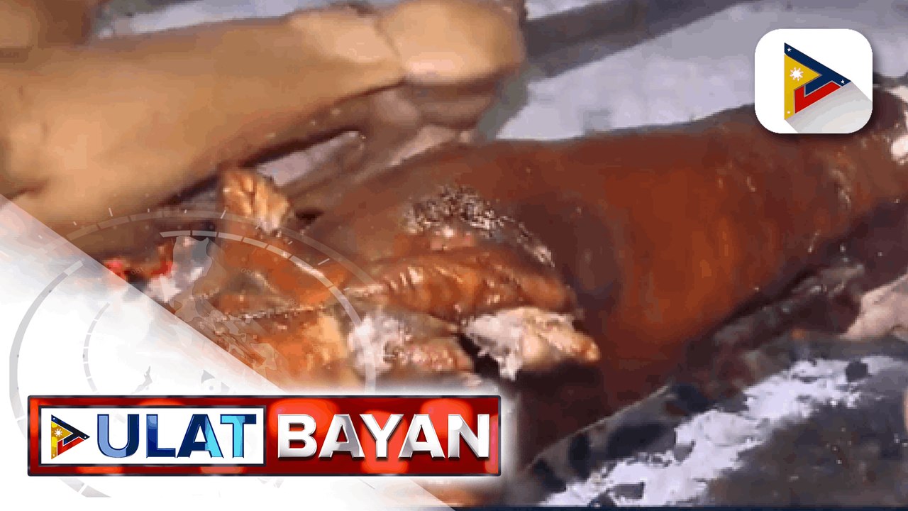 QC Veterinary Department, iniinspekyong mabuti ang mga baboy na ginagawang lechon  QC, nais buhayin ang industriya ng lechon