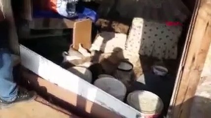 Sokak köpeği ve 14 yavrusuna hayvanseverler sahip çıkt