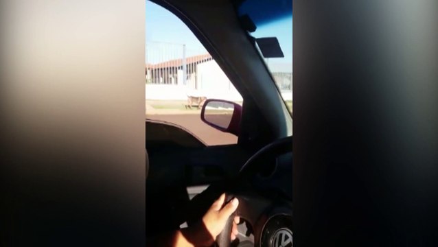 Mais uma criança é atacada por cachorro no Conjunto Riviera; Diversos animais vivem nas ruas e oferecem risco aos moradores