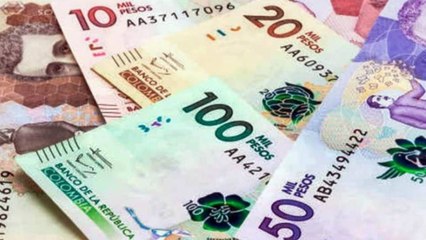 Hemos tenido crecimientos negativos, el palo no está para cucharas: Fenalco sobre aumento de salario mínimo