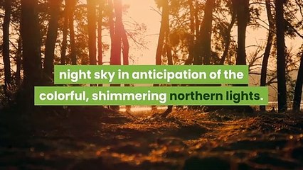 When And Where Northern Lights May Be Seen Across Delaware Valley Sky