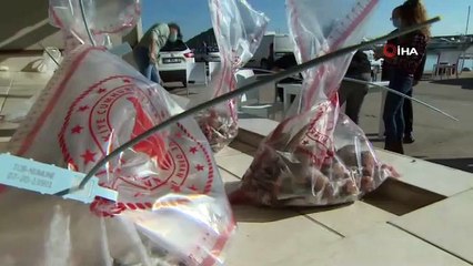 Antalya'da ilk günde 2 bin kuyruk toplandı