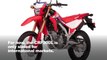 2021 Honda CRF300L Dual Sport First Look Preview