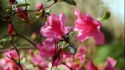 Una carta de confesión lleva al asesino