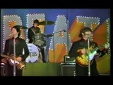 The Beatles - Live At The Nippon Budokan Hall - June 30, 1966