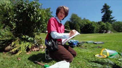 The Haunting Hour Season 2 Episode 3 "Swarming Norman"