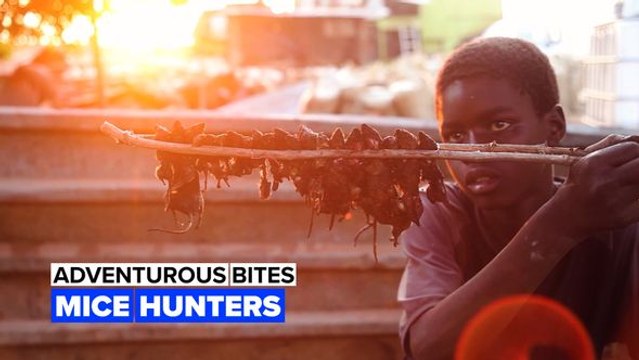 Adventurous bites: Mice are hunted and eaten in this village!