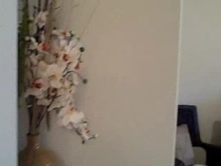 Palm Coast Real Estate Model Home RachelOrd.com