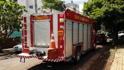 Gato entra em duto de churrasqueira e Corpo de Bombeiros é acionado para resgate