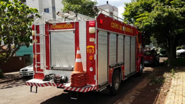 Gato entra em duto de churrasqueira e Corpo de Bombeiros é acionado para resgate