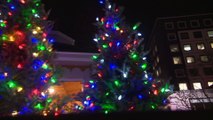 La Grande Illumination : Les sapins ont été illuminés devant les établissement de santé du Bas-Saint-Laurent