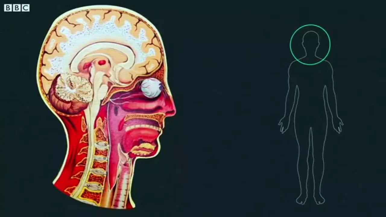 Como Prepararse para Enfrentar y Combatir el Coronavirus