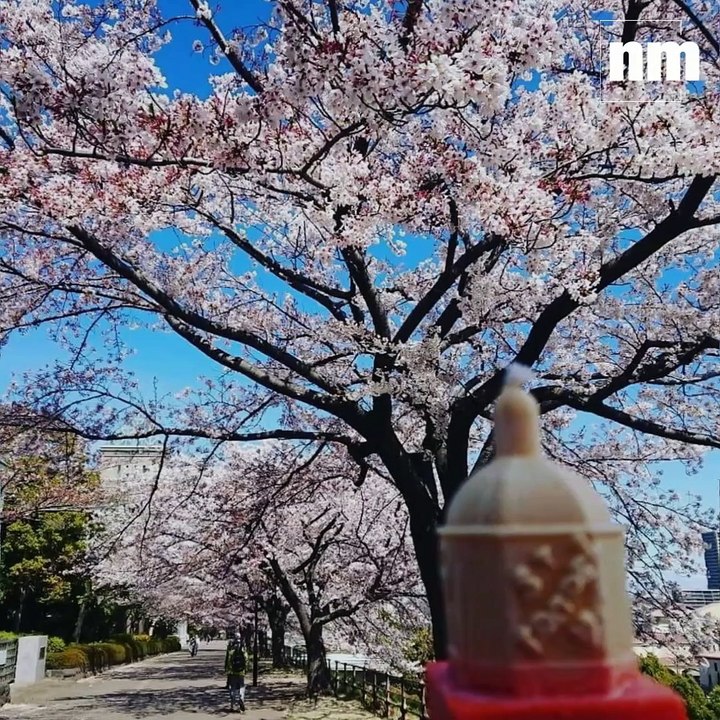 La bougie-clocher de Saint-Tropez en voyage au quatre coins du monde... et même dans le ciel