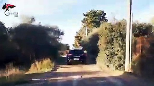 Molfetta (BA) - Rubano olive, arrestati dai carabinieri (10.12.20)