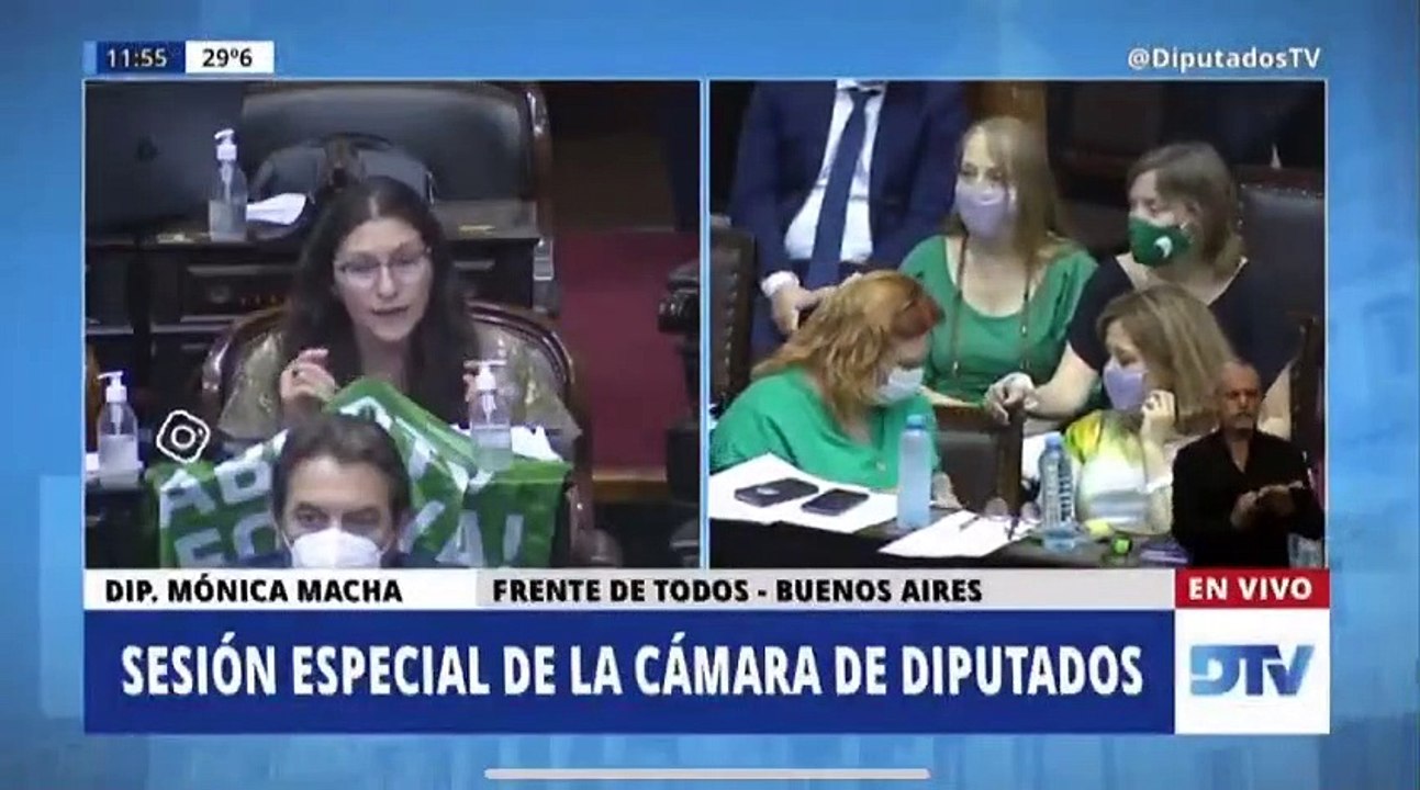 Una diputada afirmó que “no solo las mujeres abortan, también lo hacen las lesbianas”