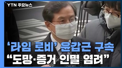 '라임 로비' 윤갑근 결국 구속..."도망·증거 인멸 염려" / YTN
