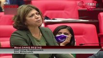HDP'li Meral, kendi vekili tecavüzcü Tuma Çelik'i savundu!