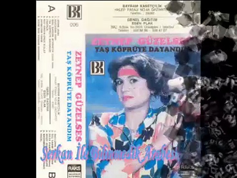 Zeynep Güzelses - Hazal