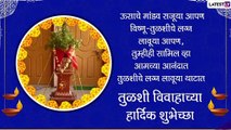 Tulsi Vivah Wishes in Marathi: तुळशी विवाह शुभेच्छा Greetings, Messages, HD Image, WhatsApp Status
