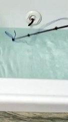 Small Snake Slithers out of Tub Jet