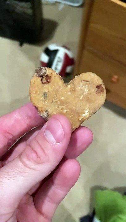 Dog Scarfs Down Important Cookie