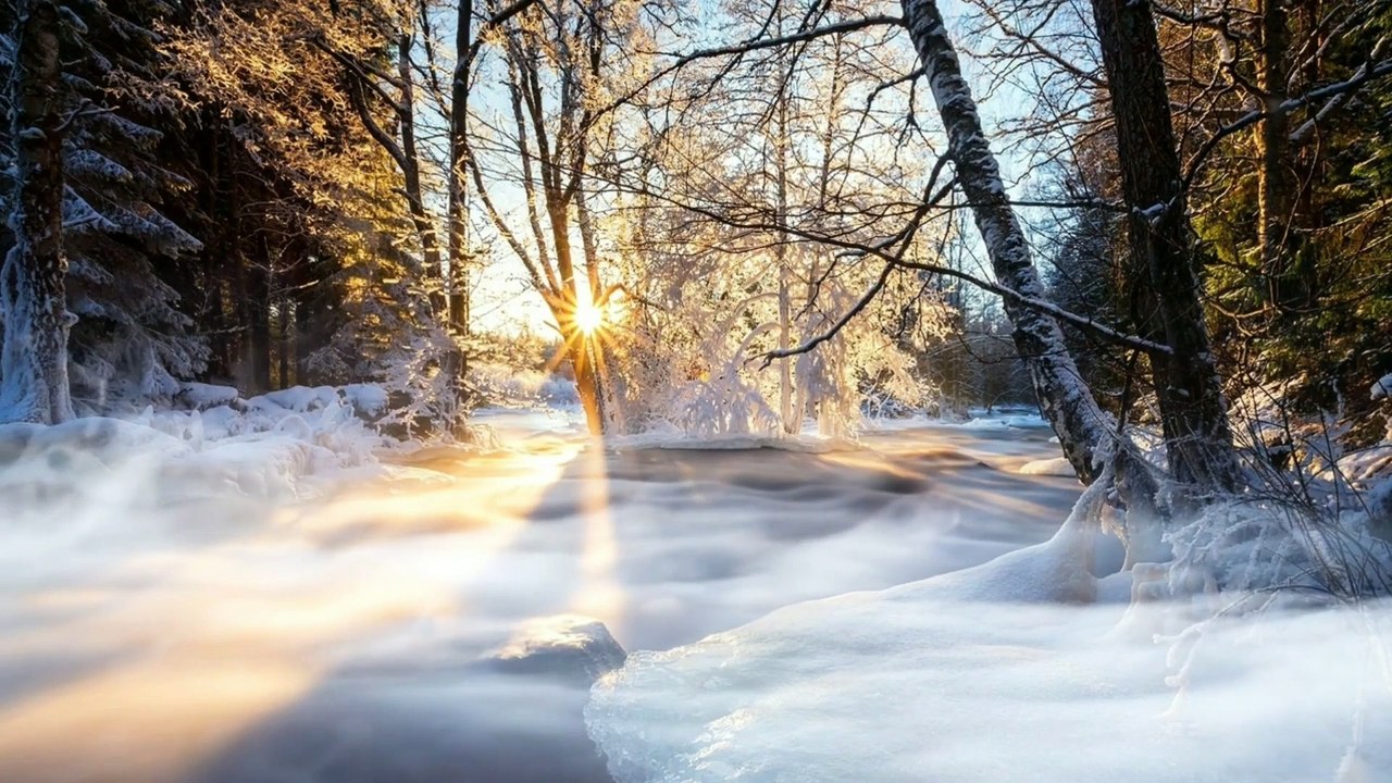 परोपकार के समान कोई पुणय नहीं है....In full HD1080P