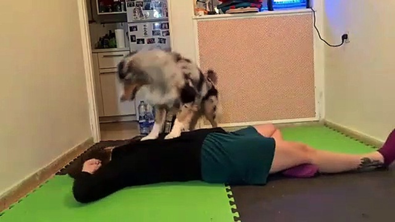 Clever dog gives CPR to owner when she pretends to faint