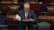 JUST IN Schumer responds to Ron Johnson's quackery and conspiracy theories