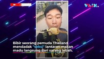 Karma Makan Madu Langsung dari Sarang Lebah