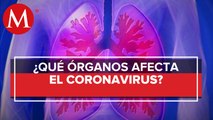 Infrecuentes, las alteraciones a órganos distintos al aparato respiratorio: Ssa