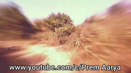 Many types of Plum found in Bokaro forest...