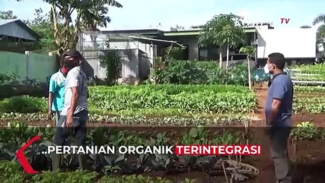 Sosok Petani Milenial Kembangkan Pertanian Organik