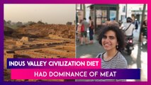 Indus Valley Civilization Diet Had Dominance Of Meat, Preference For Beef, Reveals Study