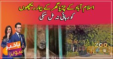 Lonely ill Bears still at Islamabad zoo as sanctuary raises health concerns