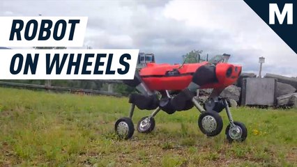 Download Video: Wheels may be better than feet for robots with legs – Strictly Robots