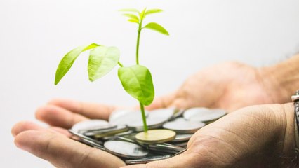 The Three Ways You Can Turn The Internet Into Your Own Personal Money Tree