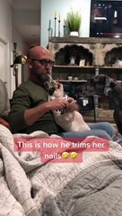 Using a Spoon with Peanut Butter to Trim Frenchie's Nails