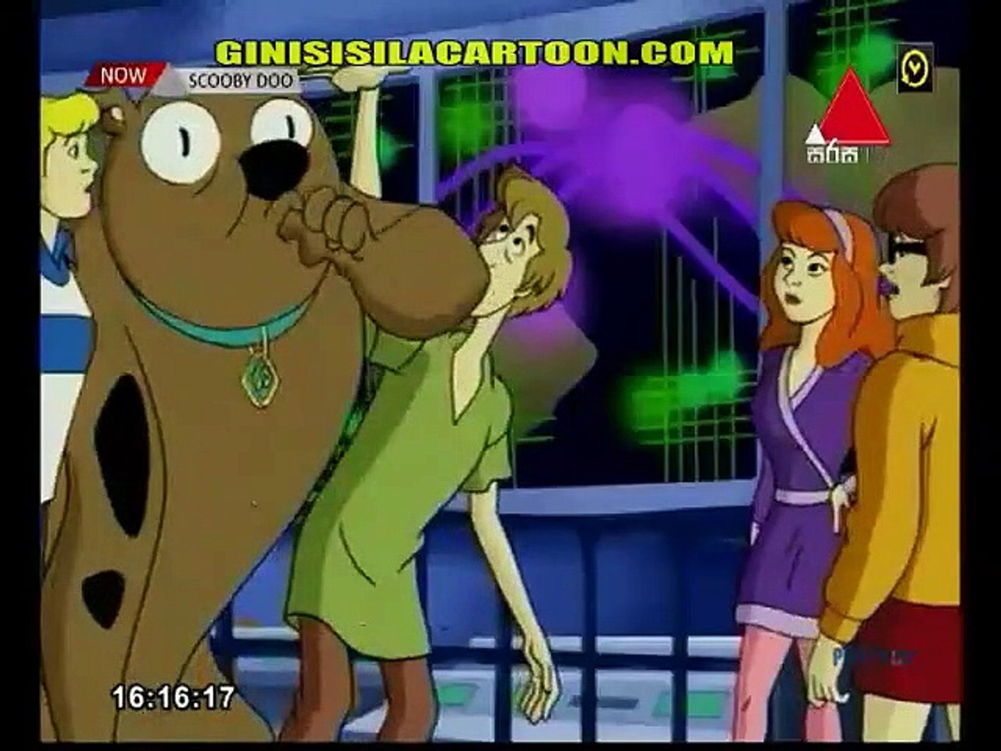 scooby 222