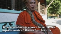 El monasterio birmano que sirve de refugio a decenas de serpientes