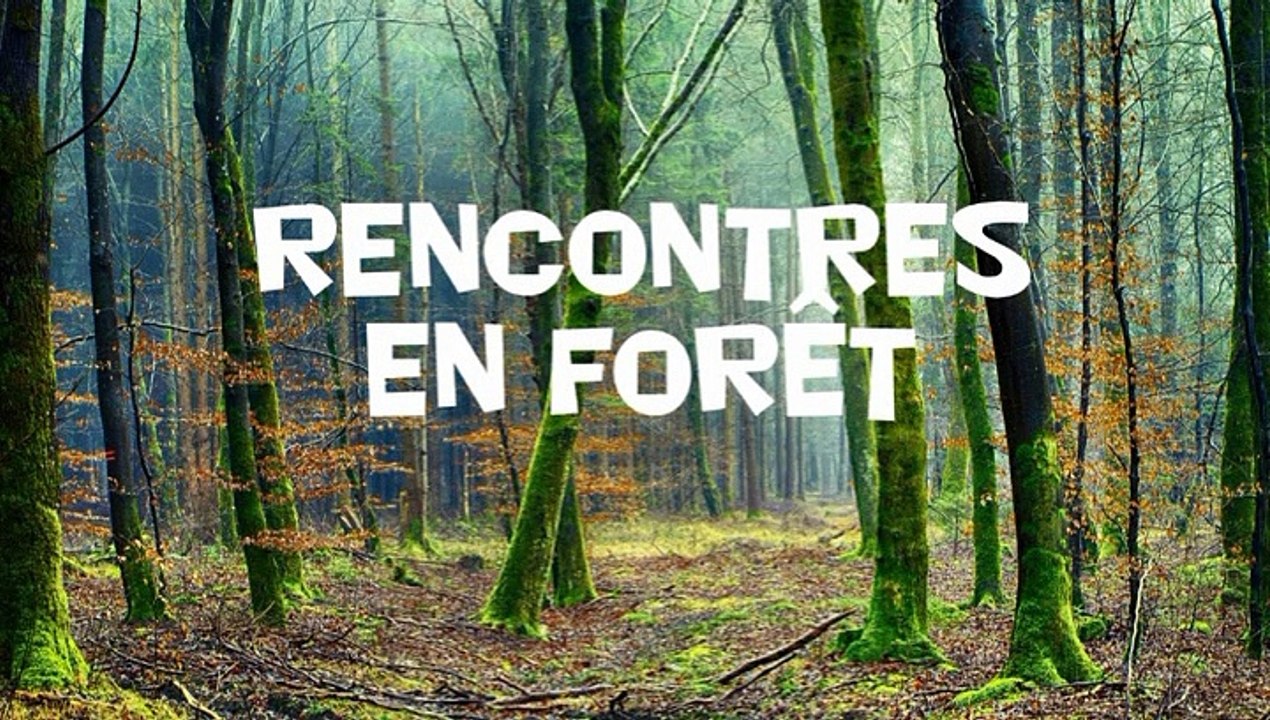Rencontres en forêt-cp-ce1-lepigeonnier-internet-dvd