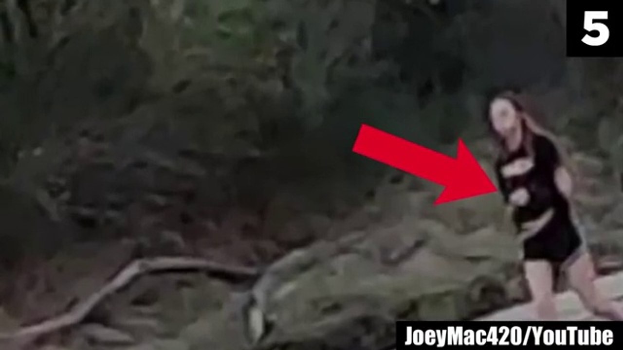 Scary Creature Wondering in Jungle