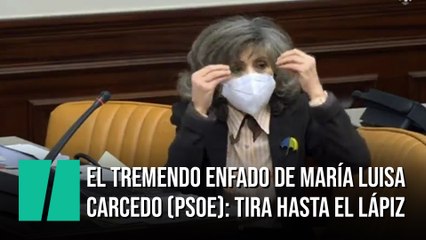 El tremendo enfado de María Luisa Carcedo (PSOE)