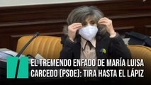El tremendo enfado de María Luisa Carcedo (PSOE)