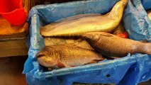 Big Fishes In Bazaar