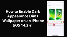How to Enable Dark Appearance Dims Wallpaper on an iPhone (iOS 14.2)?