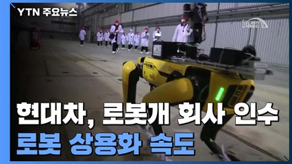 현대차, '로봇 개' 美 회사 인수 합의...로봇사업 상용화 속도 / YTN