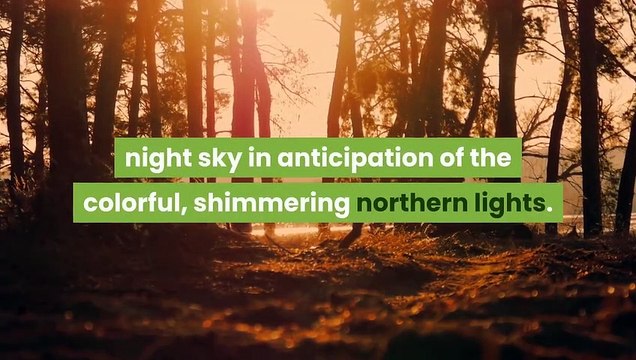 When And Where Northern Lights May Be Seen Across Delaware Valley Sky