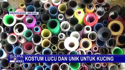 Viral! Berawal dari Penjahit Permak Beralih Jadi Penjahit Kostum Untuk Kucing