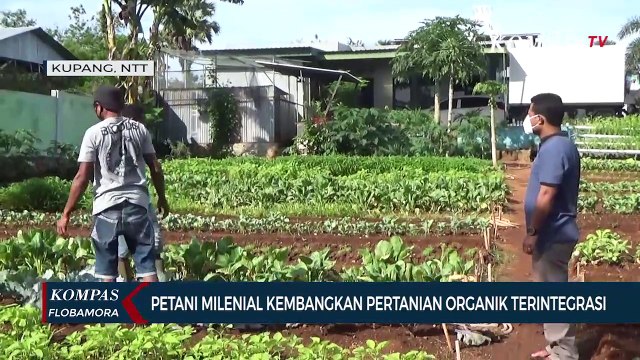 Petani Milenial Kembangkan Pertanian Organik Terintegrasi