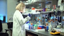 Son dakika... Türk bilim insanı Aziz Sancar'dan koronavirüs aşısı açıklaması | Video